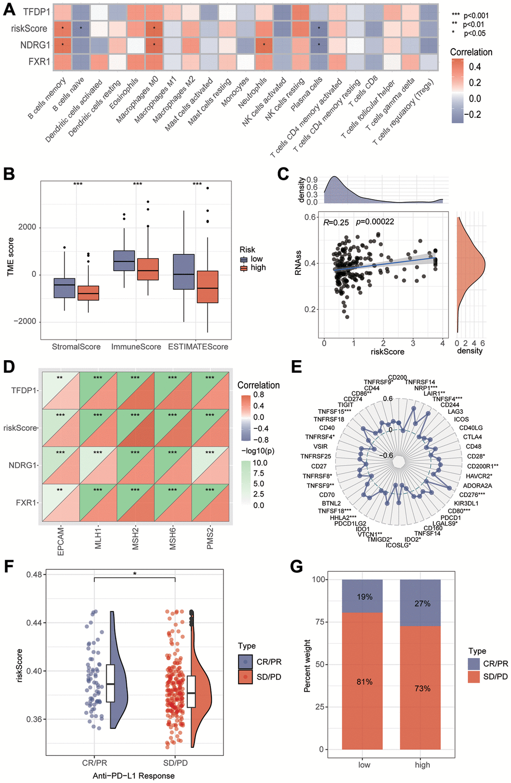 Immunological analysis between high and low risk groups. (A) Correlations between risk scores and different immune cells were calculated by the Cibersort algorithm. (B) Tumor microenvironment analysis to assess the differences between high and low risk groups. (C) Tumor stemness analysis found that risk scores were strongly correlated with tumor stemness. (D) Correlation analysis found that risk scores were strongly correlated with MMR. (E) Correlation analysis revealed that risk scores were strongly correlated with immune checkpoints. (F, G) The immune efficacy of the different risk groups was analyzed by the IMvigor210 dataset.