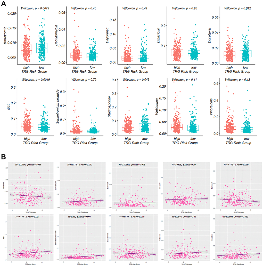 Targeted agents’ treatment sensitivity. (A) and (B) Correlation of the IC50 value of the selected ten drugs with TRG risk score.