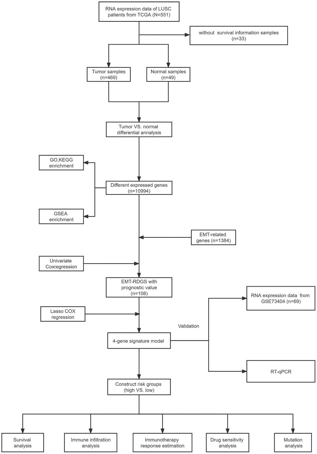 The flow chart of our study.