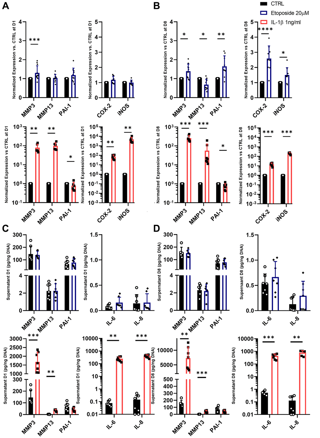 SASP markers in Etoposide and IL-1β treated HACs. (A–D) HACs were treated with Etoposide (blue) at 20 μM for 24 h or IL-1β (red) at 1 ng/mL for the length of the experiment. The expressions of SASP markers were evaluated by RT-qPCR at day 1 (A) and day 8 (B), and SASP components were quantified by Luminex assay in the culture medium at day 1 (C) and 8 (D). Data are shown as mean ± SD, (n ≥ 3). P-values were calculated by Mann-Whitney test, *p ≤ 0.05; **p ***p ****p 