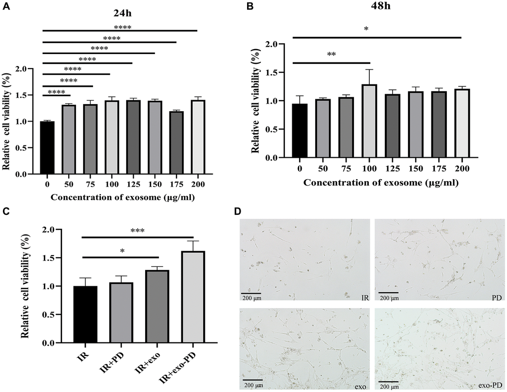 CCK-8 assay of small intestinal epithelial cells after exosome and exo-PD treatment. (A) Cell viability of intestinal epithelial cells after IR at different exosome concentrations after 24 h treatment. (B) Cell viability of intestinal epithelial cells after IR at different exosome concentrations after 48 h treatment. (C) Cell viability of different groups after IR and treating with PD (10 μg/ml), exosome (exo, 100 μg/ml) and exo-PD (10 μg/ml) for 24 hours respectively. (D) Cell status observed microscopically after 72 h. Statistical plots with * as p ** as p *** as p 