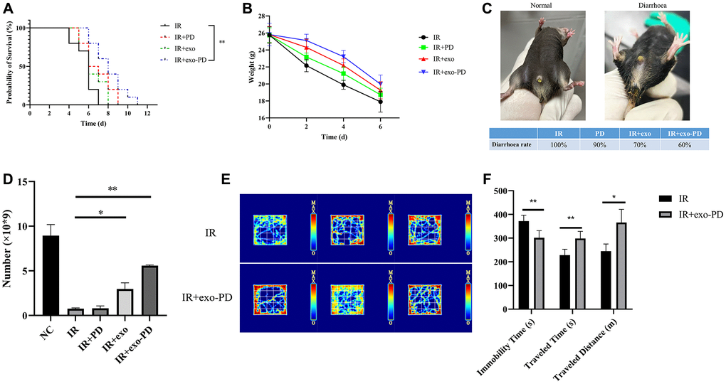 Effect of PD, exo and exo-PD on survival, body weight, diarrhea rate, leukocyte change and behavior of mice after irradiation. (A) Effect of exo-PD on survival of mice after IR. (B, C) Differences in body weight changes and diarrhea rate of mice in different groups after IR. (D) Leukocyte changes on day 4 after irradiation in mice from different treatment groups. (E, F) Heat map and statistical results of the open field experiment in mice from two treatment groups, and black represents mice in IR group and gray represents mice in exo-PD group. PD solution, exosome solution and exo-PD solution were all injected intraperitoneally immediately after irradiation within half an hour. Data are presented as mean X¯±SEM, n = 10. Statistical plots with * as p ** as p *** as p 