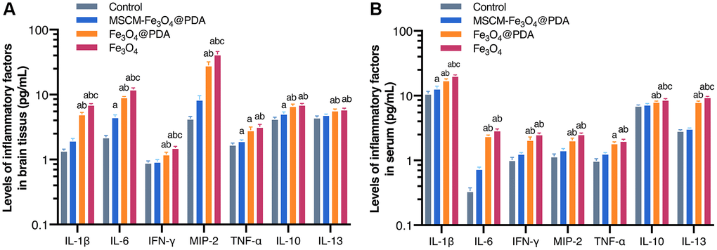 Levels of inflammatory factors in brain tissues (A) and serum (B) after exposure to MSCM-Fe3O4@PDA, Fe3O4@PDA and Fe3O4 NPs. ap bp 3O4@PDA, cp 3O4@PDA.