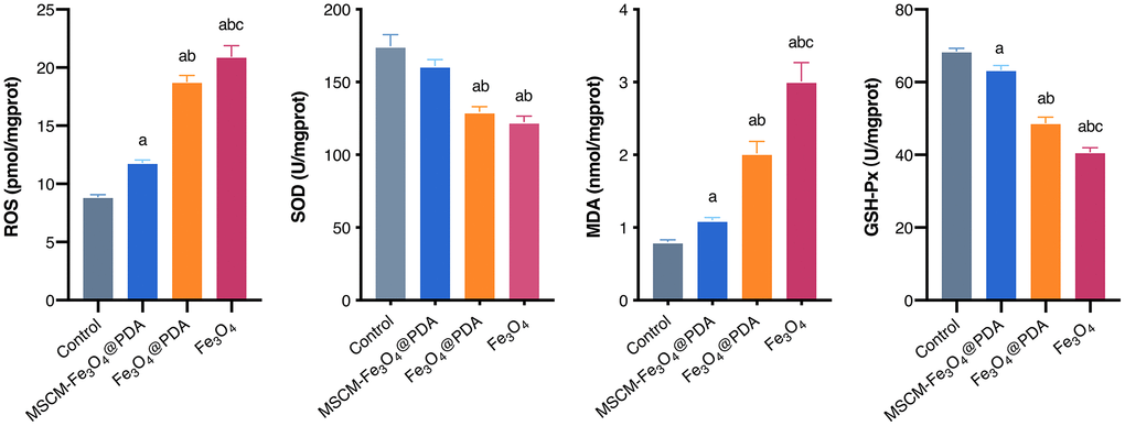 Levels of ROS, SOD, MDA, and GSH-Px after exposure to MSCM-Fe3O4@PDA, Fe3O4@PDA and Fe3O4 NPs. ap bp 3O4@PDA, cp 3O4@PDA.