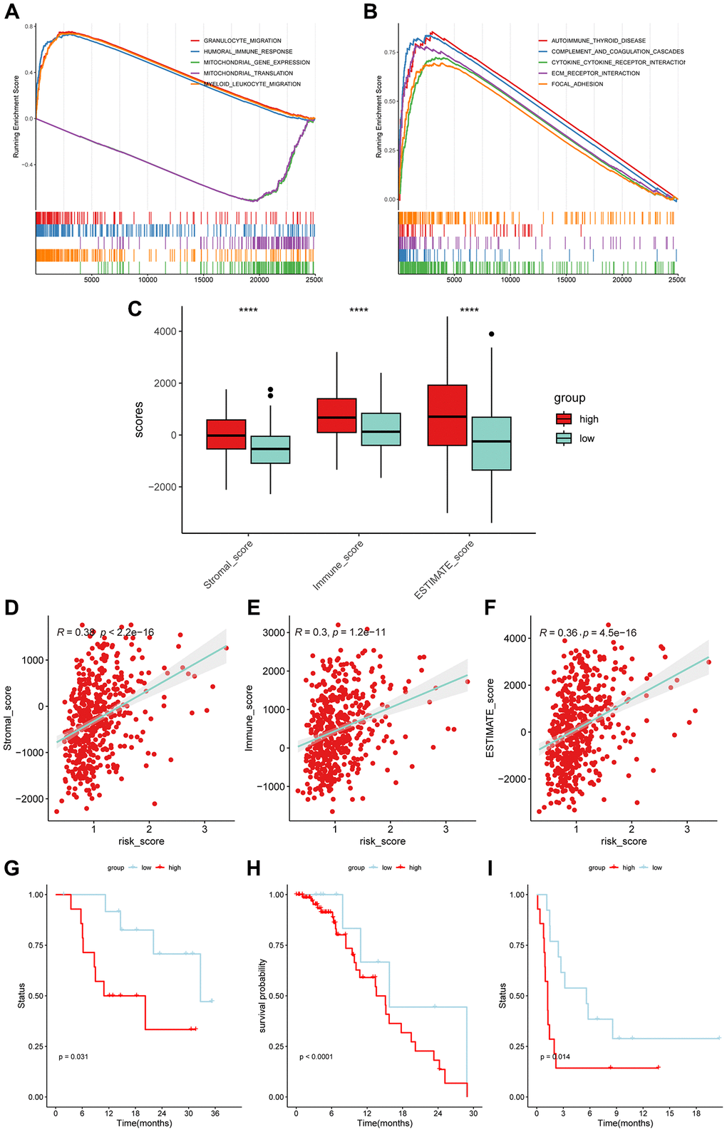 The application of 6-gene signature in immunotherapy efficacy. The top 5 results of GSEA analysis in the term of GO-BP (A) and KEGG (B). (C) The high-risk subgroups had higher Stromal scores, Immune scores, and ESTIMATE scores (Wilcoxon test). (D–F) The risk scores of LUSC patients were positively correlated with the infiltration scores. (G–I) The low-risk subgroups were more prominent in prognosis than the high-risk subgroups in immunotherapy cohorts (GSE78220: Melanoma; GSE176307: Urothelial Cancer; GSE135222: Non-small cell lung carcinoma).