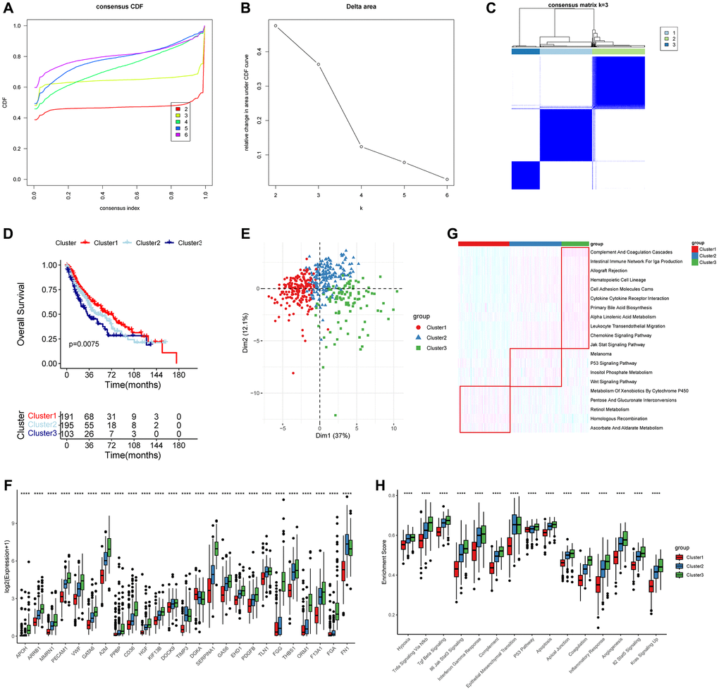 Molecular subtypes based on 25 prognostic PRGs and biological function analysis. (A–C) Consensus curves and heatmap when k = 3. (D) Overall survival (OS) analysis for the three distinct LUSC clusters. (E) PCA analysis showed that the distributions of three clusters. (F) Boxplot showed the expression of 25 PRGs in the three clusters (Wilcoxon test). (G, H) The significantly different KEGG and HALLMARK genesets in the three clusters using ssGSEA analysis. ***P ****P 