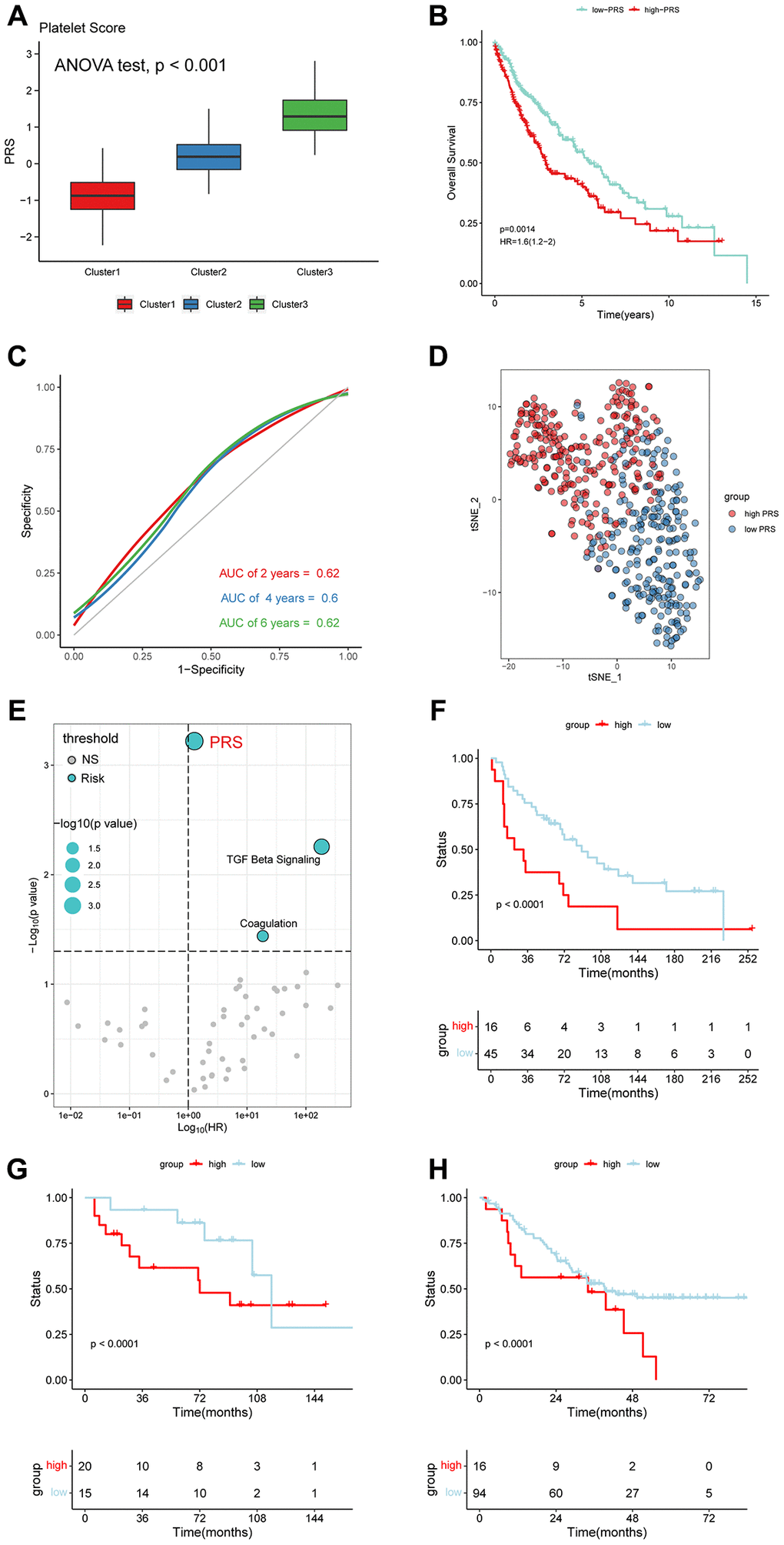 Platelet-related scores (PRS) were an unfavorable factor in LUSC. (A) The cluster 3 with worst outcomes had higher PRS. (ANOVA test, p B) OS analysis for the LUSC patients with high- and low-PRS. (HR = 1.6). (C) The HR and p-value of PRS and 50 Hallmark pathways. (D) ROC curves for 2-, 4-, and 6-year. (E) PCA displayed the distribution of the two subclusters. (F–H) LUSC patients with high PRS tended to have a bad prognosis in GEO database (GSE3141, GSE12472 and GSE30219).