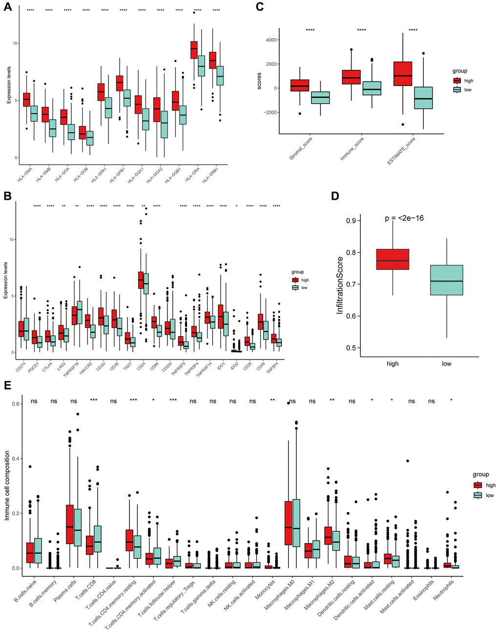 The exploration of PRS and tumor microenvironment (TME). (A) MHC-II molecules were highly expressed in high PRS patients. (B) Similarly, almost all immune checkpoints (ICs) were highly expressed in high PRS patients. Boxplot showed the high PRS patients had significantly higher infiltration levels of TME using ESTIMATE (C) and ImmuCellAI (D) algorithm. (E) Two types of PRS patients exhibited distinct immune cell populations. Wilcoxon test, *P **P ***P ****P 