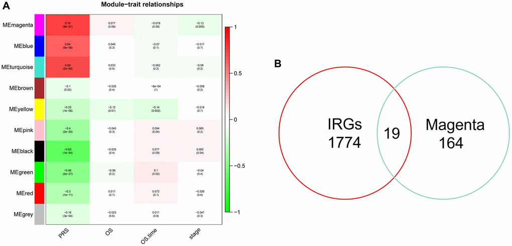 Identification of hub genes related to PRS by WGCNA. (A) Heatmap showed the correlation coefficient and p-value of distinct module. (B) Venn plots of 10 common genes related to PRS and immunity.
