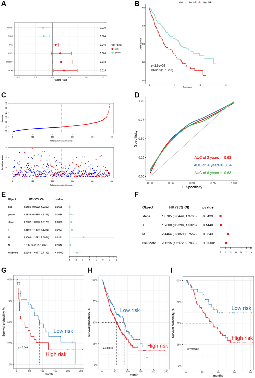 Construction and evaluation of the 6-gene signature. (A) The multivariate Cox risk model of 6 genes. (B) OS curves of the two risk subgroups (HR = 1.9, p-value C) The distribution of risk scores, survival times and outcomes of LUSC patients. (D) Receiver operating characteristic (ROC) curves for 2-, 4- and 6-year of TCGA-LUSC cohort. (E, F) Univariate and multivariate Cox regression analyses of the risk model and other clinic-pathological factors. (G–I) External validation in GEO database (GSE30219, GSE157011, and GSE3141).