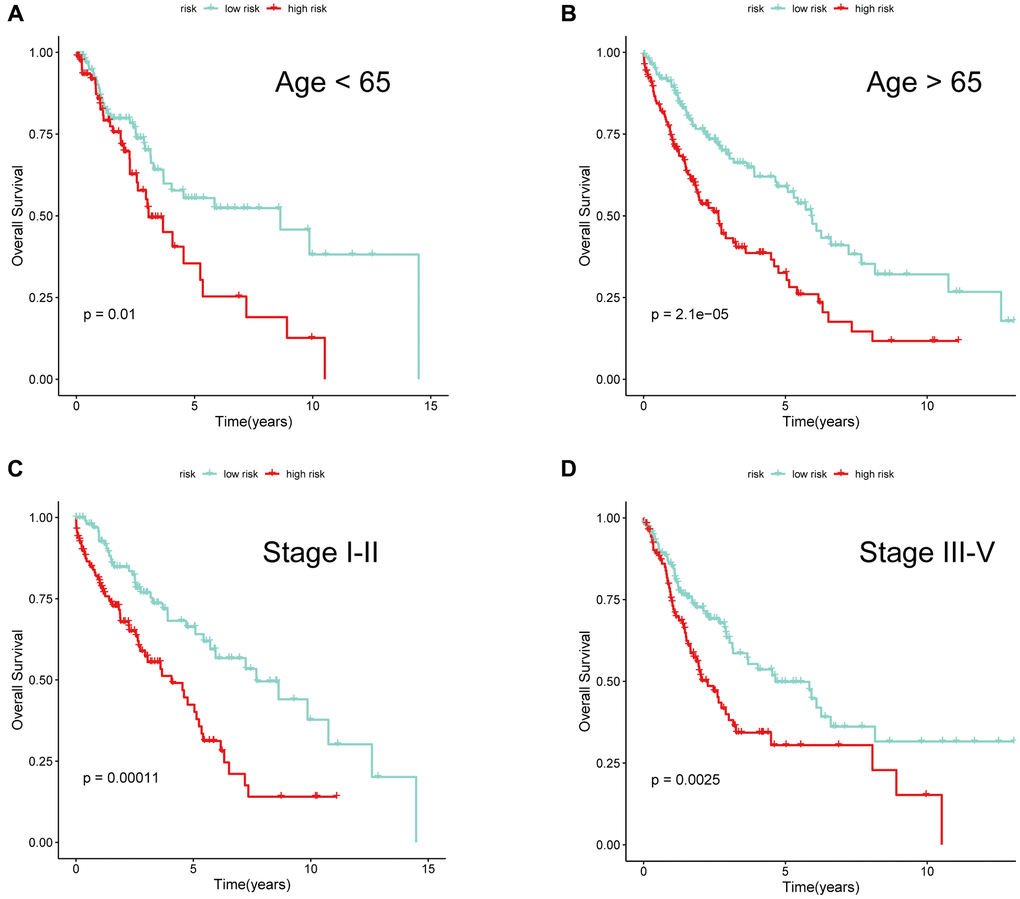 The performance of 6-gene signature under different clinical characteristics. KM survival curves for the two risk subgroups of LUSC patients stratified by age (A, B) and tumor stage (C, D).