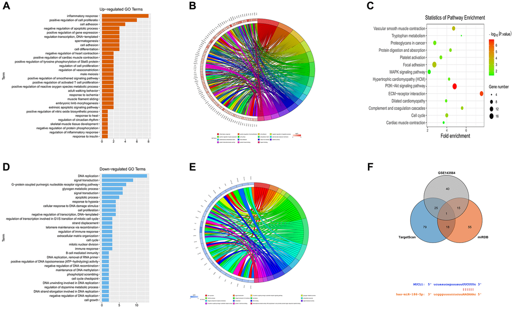 Enrichment analysis of GSE139038. (A and B) GO up-regulated pathway diagram. (C) KEGG pathway. (D and E) GO down-regulated pathway diagram. (F) Venn diagram, mRNA and miRNA binding site diagram.