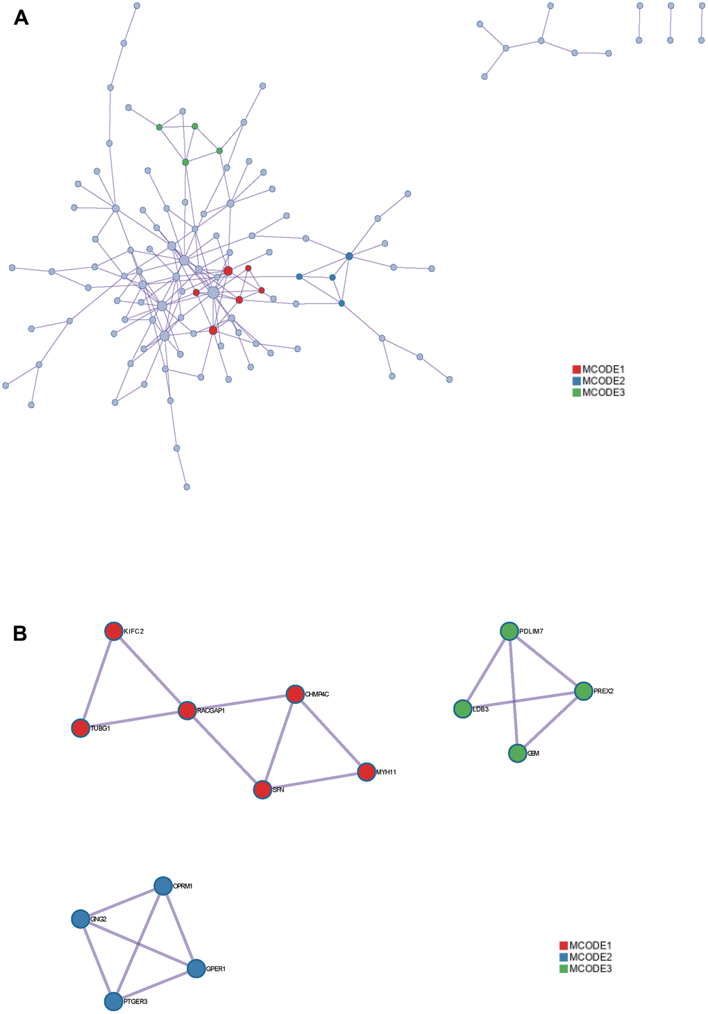 Metascape enrichment analysis. Red: MCODE1. Blue: MCODE2. Green: MCODE3. (A) protein-protein interact among the DEGs by the Metascape. (B) MCODE in the network.