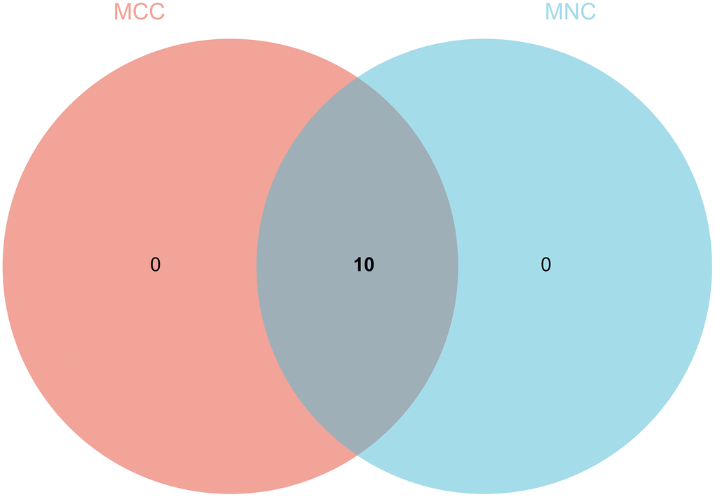 Wayne diagram and intersection. 10 core genes (ECT2L, MELK, SPAG5, KIF23, CHAF1B, KNTC1, MCM2, CKAP2, RACGAP1, CCNB1) are obtained.