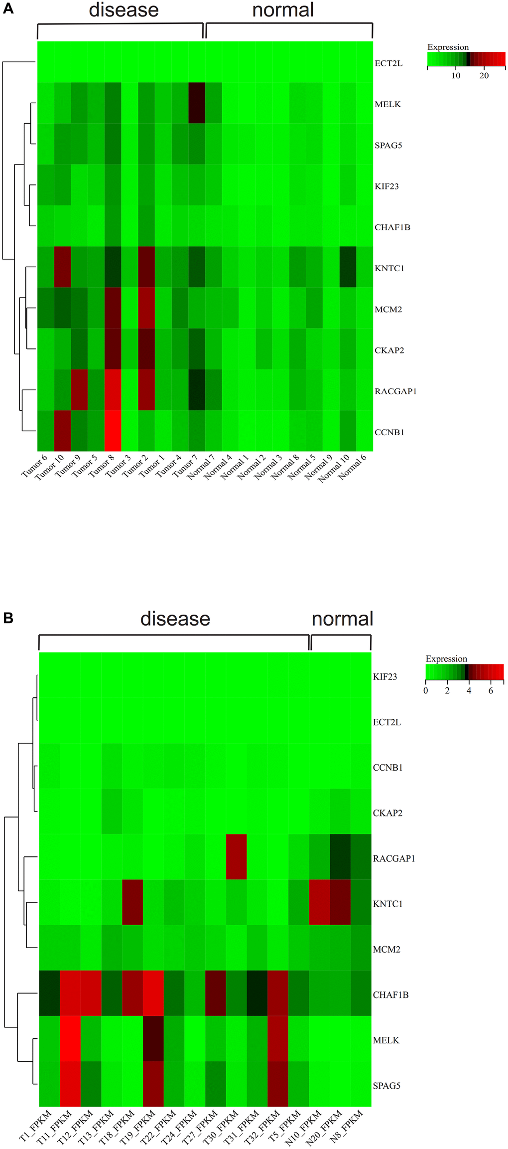 >Gene expression heat map. (A) GSE139682 and (B) GSE202479.