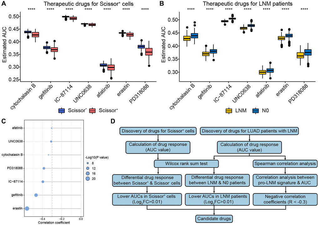 Identification of potential drug targets for patients with LNM. (A, B) The boxplots of differential drug response analysis in Scissor+ cells and LNM patients. (C) The Spearman’s correlation analysis between pro-LNM signature and AUC. (D) The overall workflow for identifying potential drug targets for patients with LNM. ****, means p 