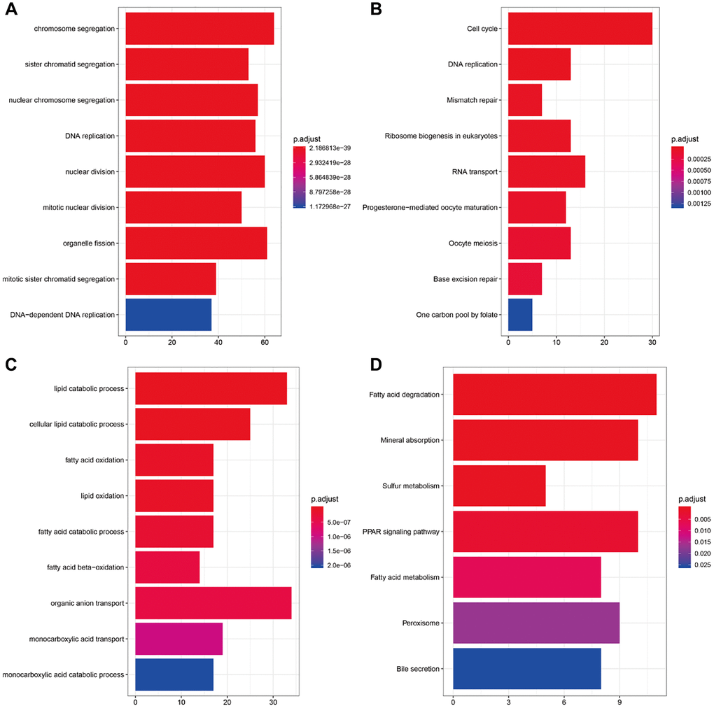 Enrichment analysis of brown and blue modules. (A) GO analysis of all genes in brown modules. (B) KEGG pathway analysis of all genes in brown modules. (C) GO analysis of all genes in blue modules. (D) KEGG pathway analysis of all genes in blue modules.