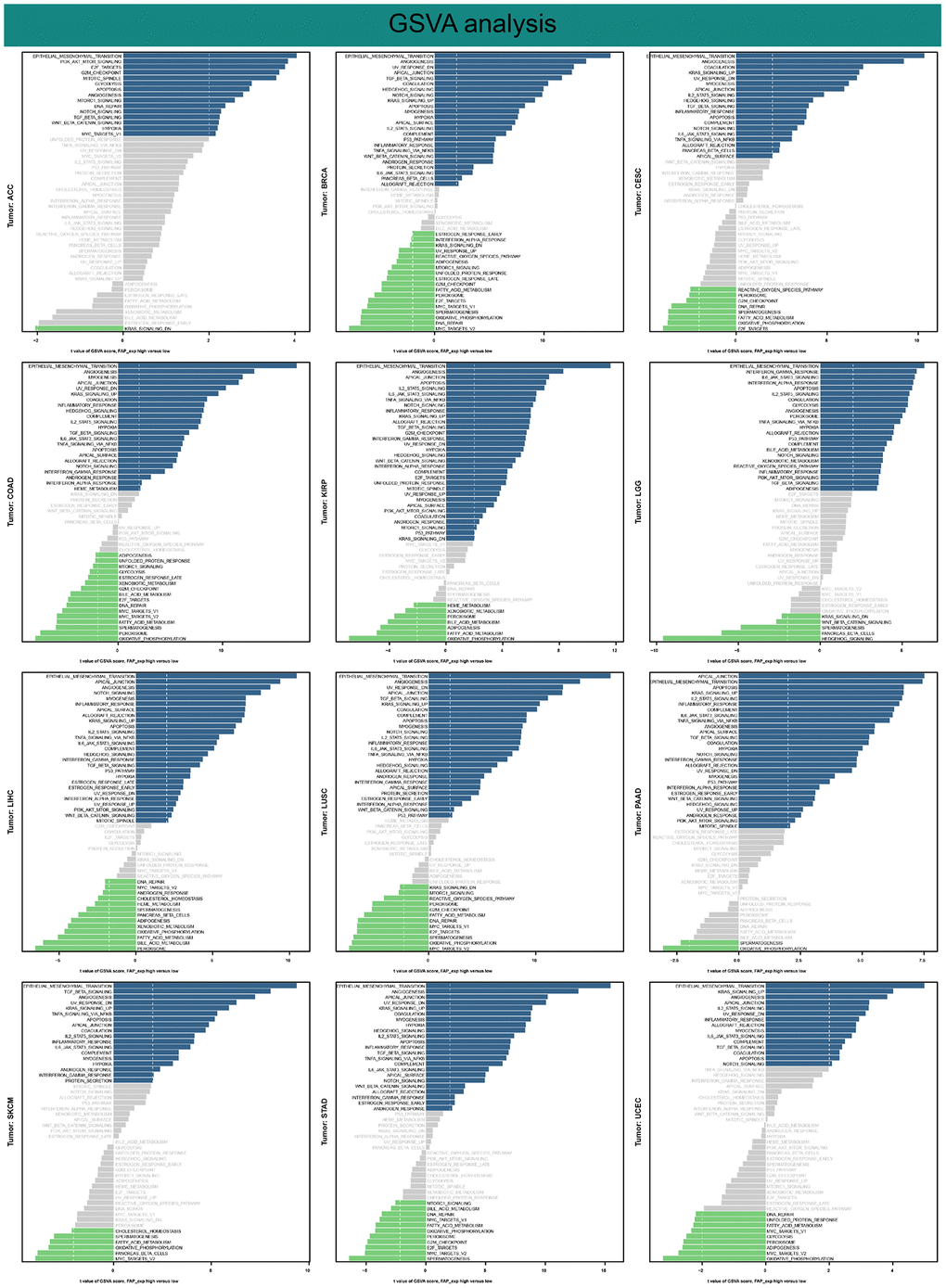 Results of GSVA.