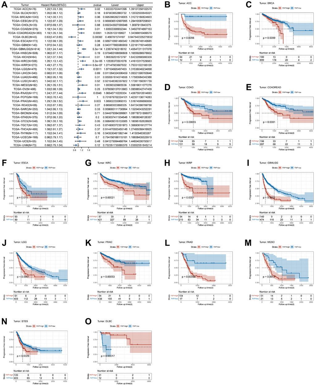 Association between FAP expression and progression-free interval (PFI). (A) Forest plot of association of FAP expression and PFI in pan-cancer. (B–O) Kaplan-Meier analysis of the association between FAP expression and PFI.
