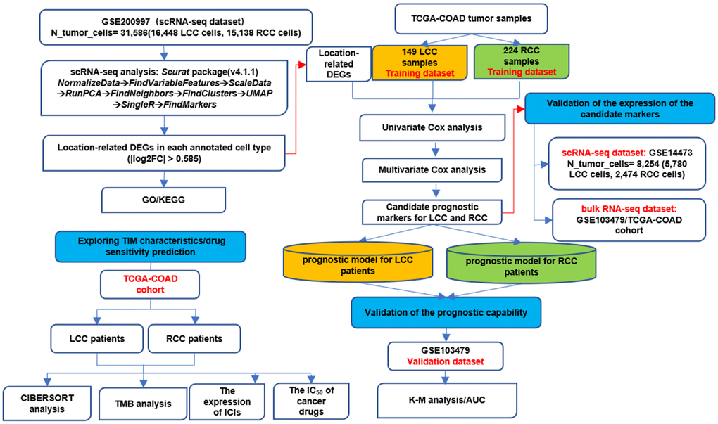 The whole analysis workflow.