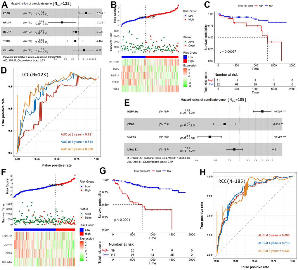 Construction and evaluation of prognostic models for LCC and RCC patients based on TCGA-COAD cohort. (A) A Forest plot shows the HR value of each candidate prognostic gene for LCC patients. (B) The distribution of LCC patients in the high- and low-risk score groups and their relationship with OS and the expression pattern of five prognostic genes. (C) A Kaplan–Meier curve shows that LCC patient OS was significantly higher in the low-risk score group than in the high-risk score group. (D) The AUCs of the prognostic model for LCC patients. (E) A Forest plot showing the HR value of each candidate prognostic gene in RCC patients. (F) The distribution of RCC patients in the high- and low-risk score groups and their relationship with OS and the expression pattern of four prognostic genes. (G) A Kaplan–Meier curve shows that RCC patient OS was significantly higher in the low-risk score group than in the high-risk score group. (H) The AUCs of the prognostic model for RCC patients.