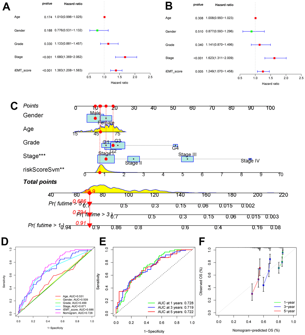 Construction of nomogram. (A, B) Univariate and multivariate Cox analysis of common clinical parameters and iEMT