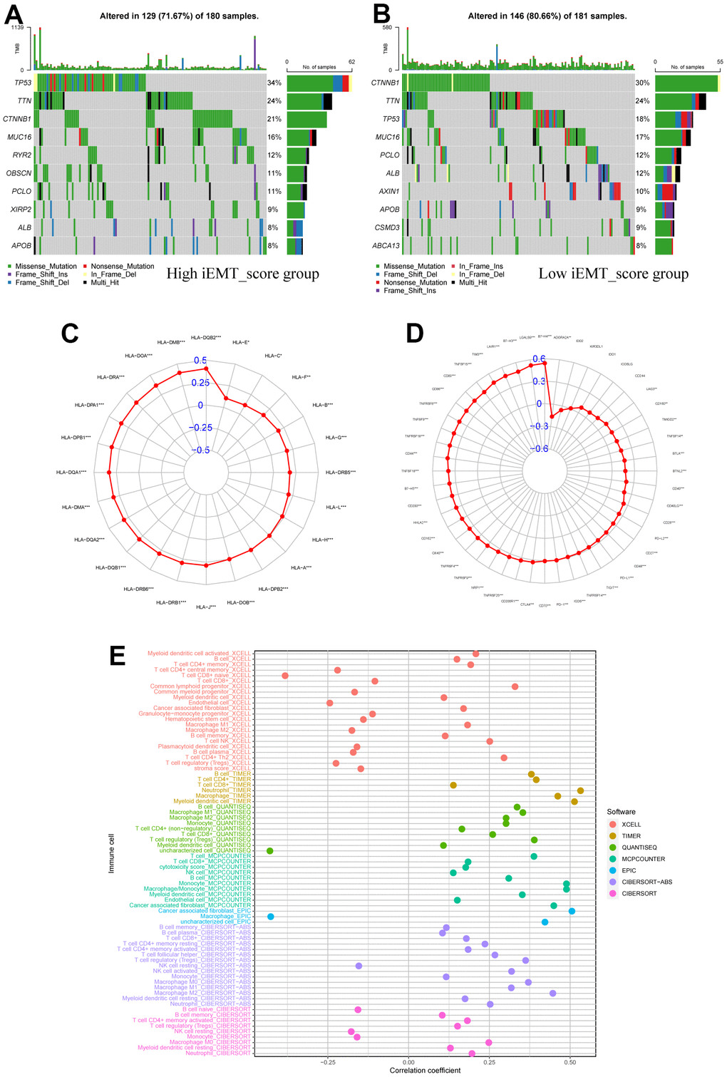 Immunological properties of different iEMT