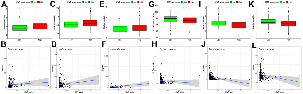 Correlation analysis between 6 commonly used drugs and iEMT