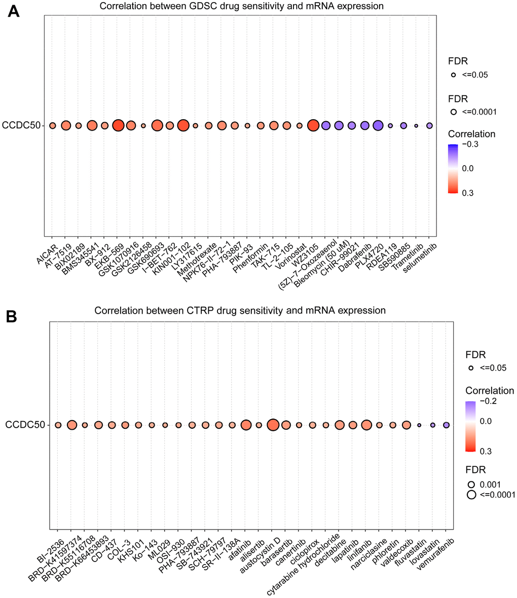 Analysis of the correlation between CCDC50 expression and drug sensitivity in various cancers. (A) The correlation between CCDC50 expression and drug sensitivity in various cancers was analysed via the GDSC database. (B) The correlation between CCDC50 expression and drug sensitivity in various cancers was analysed via the CTRP database.