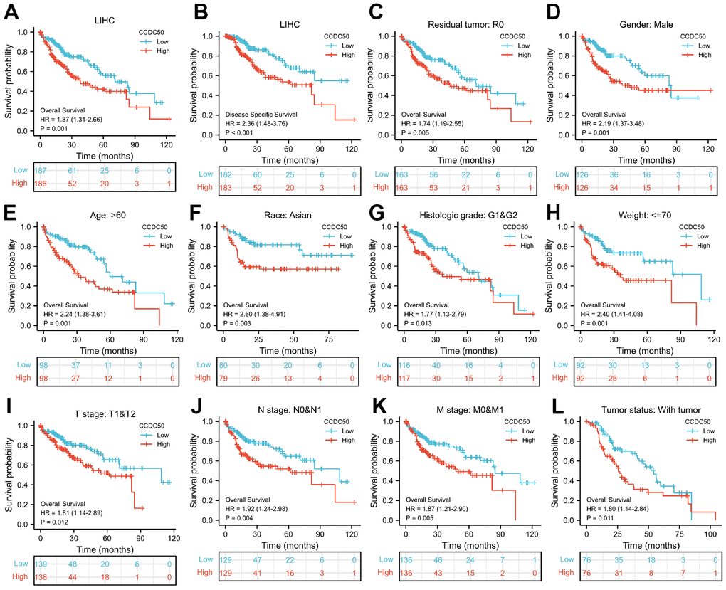 Prognostic analysis of CCDC50 in HCC. (A, B) The correlation between CCDC50 and OS, and DSS. (C–L) The correlation between CCDC50 and OS in different clinical subgroups of HCC, including residual tumour, gender, age, race, histologic grade, weight, TNM stage, AND tumour status.