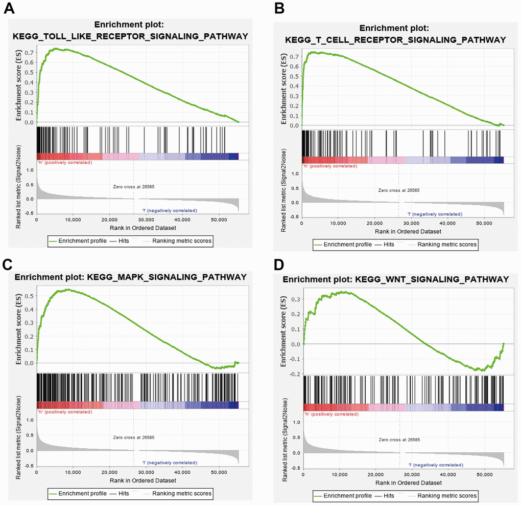 GSEA of CCDC50 in HCC. (A–D) The top GSEA results of CCDC50 in HCC.