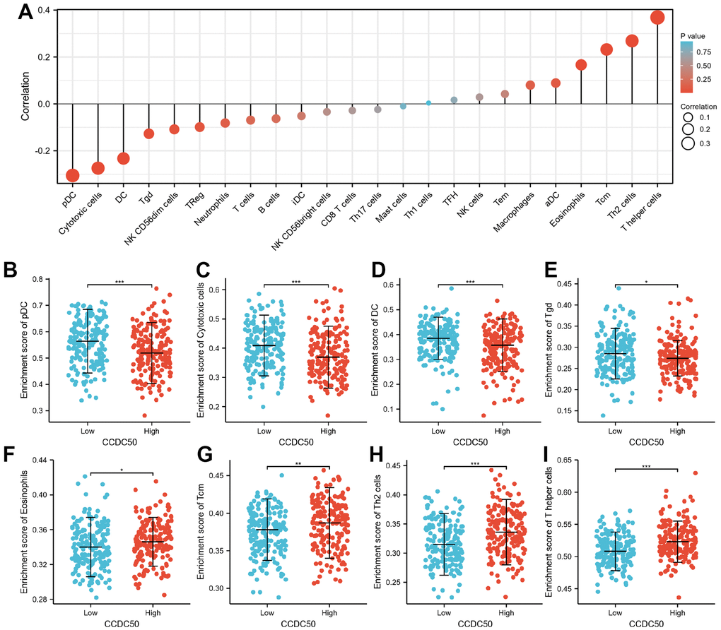 The correlation between CCDC50 expression and the level of immune cell infiltration. (A) The correlation between CCDC50 expression and the level of immune cell infiltration in HCC by using the TIMER database. (B–I) The correlations between CCDC50 expression and the level of pDC, Cytotoxic cells, DC, Tgd, Eosinophils, Tcm, Th2, and T helper cells. *p 