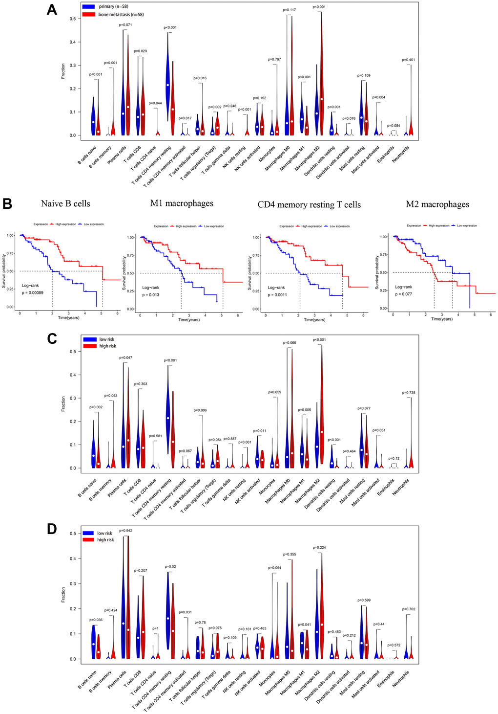 Immune cells infiltration analysis based on CIBERSORT in PCa bone metastases. (A) The percentage of 22 immune infiltration cells in the training cohort was compared between PCa in situ (n =58) and PCa bone metastases (n=58). (B) The OS analysis of naive B cells, CD4 memory resting T cells, and M1, M2 macrophages in the training cohort. In the training cohort (C) and validation cohort (D), the percentages of 22 immune infiltration cells divided into low- or high-risk groups designated by the OS predicted model were compared.