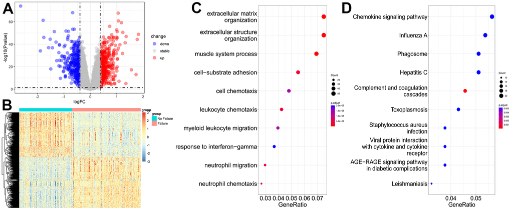 Transcriptome data analysis for heart failure. (A) Volcano plot of DEGs for no failure and heart failure samples. (B) Heatmap of DEGs for no failure and heart failure samples. (C, D) GO and KEGG enrichment analyses of DEGs for no failure and heart failure samples.