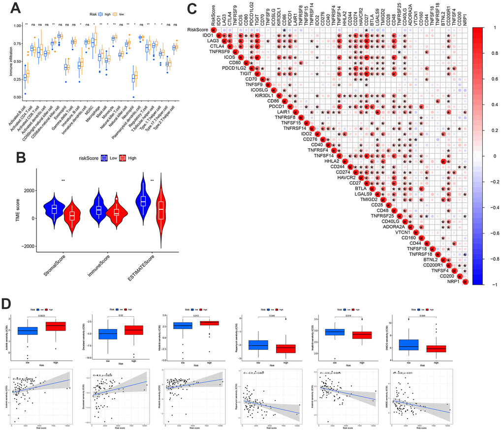 Distinct TME characteristics and mutation of OS patients according to the risk score. (A) Abundance of 23 infiltrating immune cell types. (B) Correlations between risk score and both immune and stromal scores. (C) Correlations between risk score and immune checkpoints. (D) Predicts the responsiveness of OS to chemotherapy.