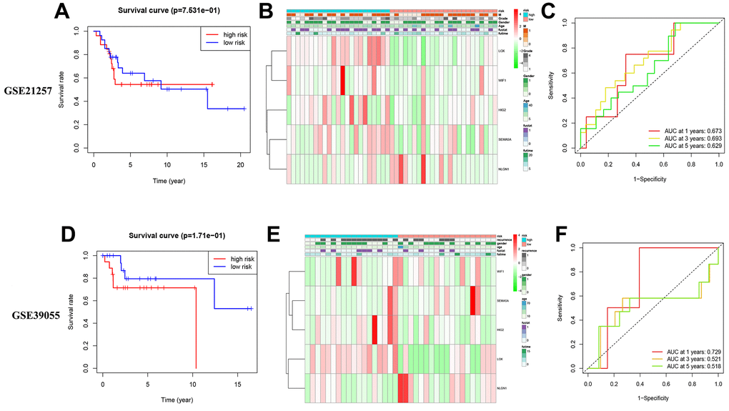 External verification of models OS and MRSs expression pattern. (A–C) Validation of external validation set GSE21257. (D–F) Validation of external validation set GSE39055.