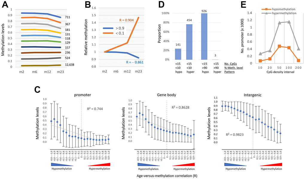 The pattern of age-associated methylation drift is determined by regional methylation level. (A) Relationship of age-linked methylation change pattern with regional methylation level. Promoters were categorized based on their methylation levels (0.1 intervals of β-values, y-axis) as indicated in different colored lines with their counts. (B) Changes in relative methylation levels in promoters with low methylation (90%, blue) as a function of age. R values indicate Pearson correlation. (C) The inverse relationship between the age-versus-methylation correlations (AMR) and the methylation levels of the regions. AMR is a Pearson correlation (R) between regional methylation levels and sample ages, with values approaching +1 and -1 indicating hyper- and hypomethylation, respectively. With the generated AMRs, the areas were grouped (0.1 intervals, totaling 20 intervals ranging from -1.0 to +1.0) and their mean methylation levels (± standard deviation) at two months of age were measured. The R2 value on the plot is the determination coefficient between methylation levels and AMRs. (D) Prevalence of hypermethylation in promoters with two conflicting variables for age-associated methylation change: low CpG density (90%, right). The regions are counted on the bar. (E) The prevalence of hypermethylation in low-methylation promoters (