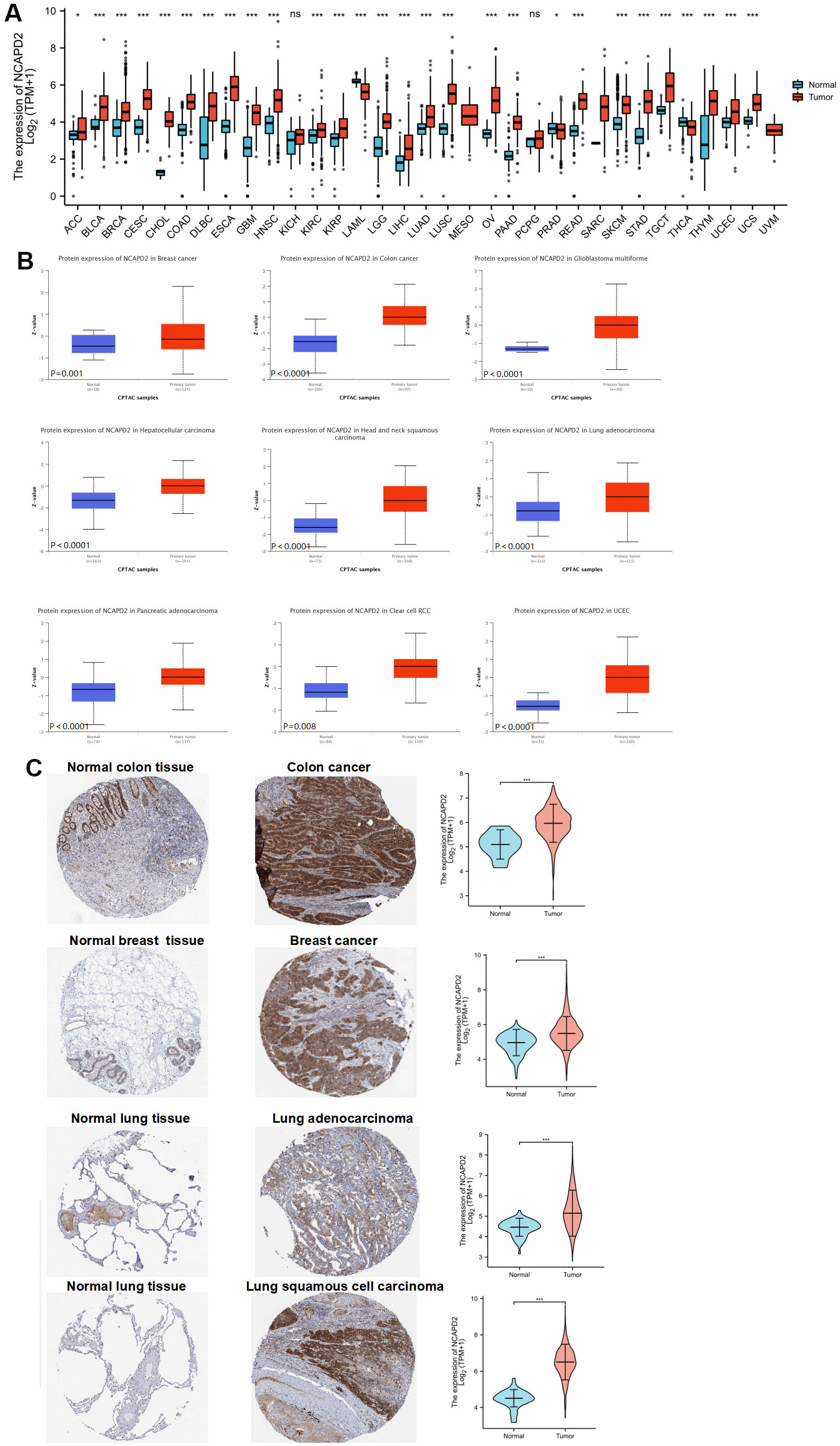 class="figure-viewer-img"