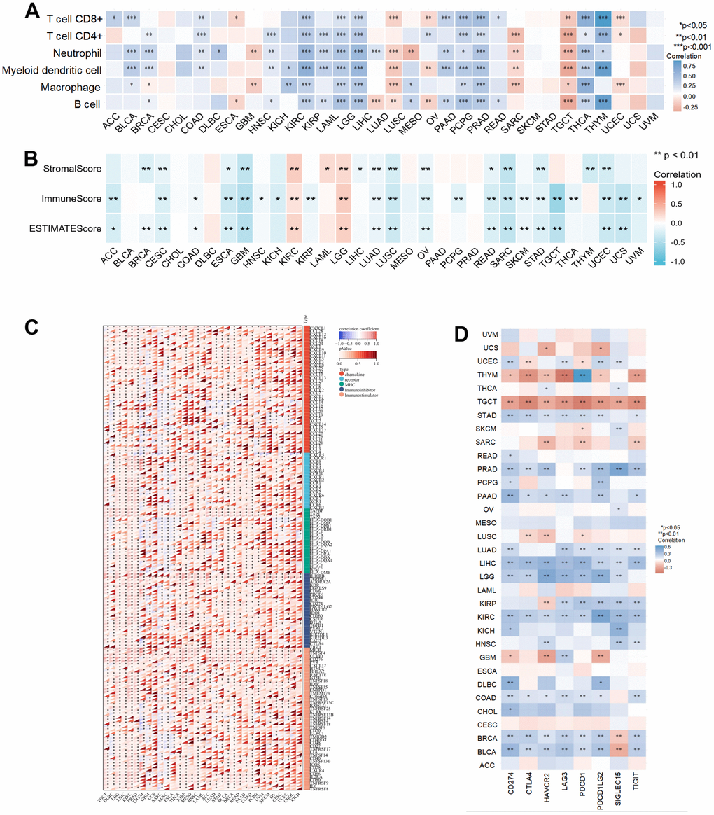 The relationship of NCAPD2 with immunity in pan-cancer. (A) The correlation between NCAPD2 and immune cell infiltration by TIMER database. (B) The correlation between NCAPD2 and stromal score, immune score, and estimate score by ESTIMATE algorithm. (C) The correlation between NCAPD2 and immune regulatory genes. (D) The correlation between NCAPD2 and immune checkpoints. (***P P P 