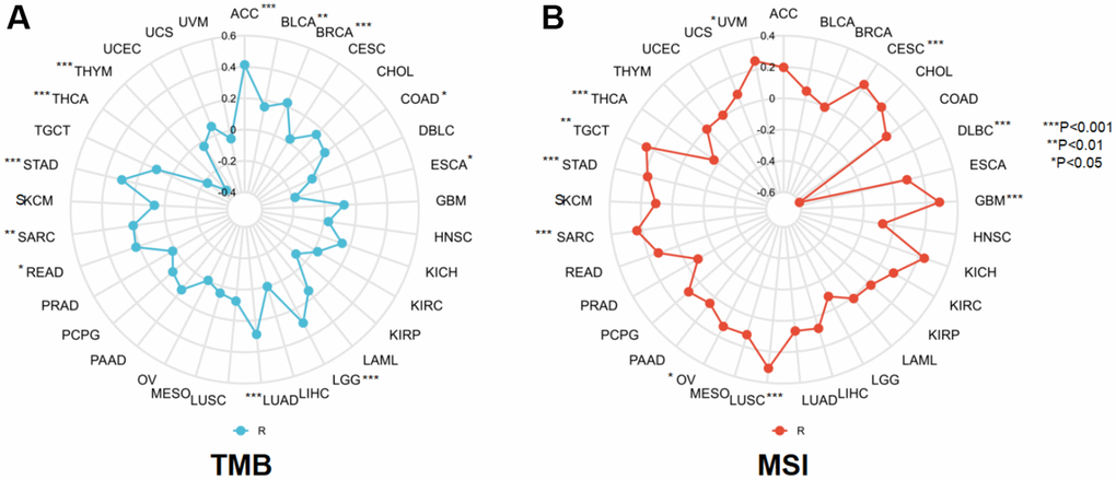 The correlation between NCAPD2 and (A) TMB and (B) MSI in pan-cancer. (***P P P 