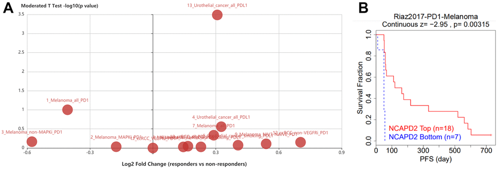 (A) NCAPD2 expression was higher in responders than in nonresponders in urothelial carcinoma patients treated with PD-L1 inhibitor atezolizumab. (B) The Kaplan-Meier survival of NCAPD2 in low- and high-expression treated with PD-1 in melanoma.