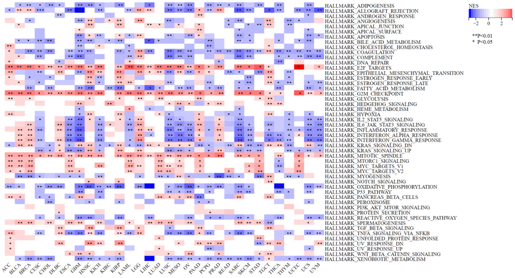Gene set enrichment analysis of NCAPD2 in high- and low-expression groups for 33 cancers. (***P P P 