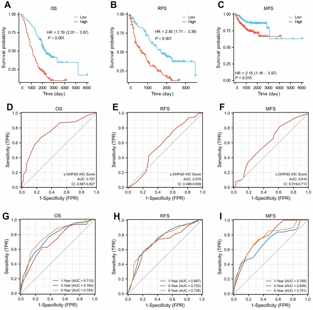 The γ-OHPdG levels and the prediction of prognosis in HCC patients. (A–C) Kaplan-Meier survival curve analysis of OS, PFS and MFS rates with high and low γ-OHPdG levels in HCC patients, respectively; (D–F) ROC curve validation of the prognostic value of the γ-OHPdG; (G–I) Time-dependent ROC curve analysis of the γ-OHPdG levels for OS, MFS and RFS.