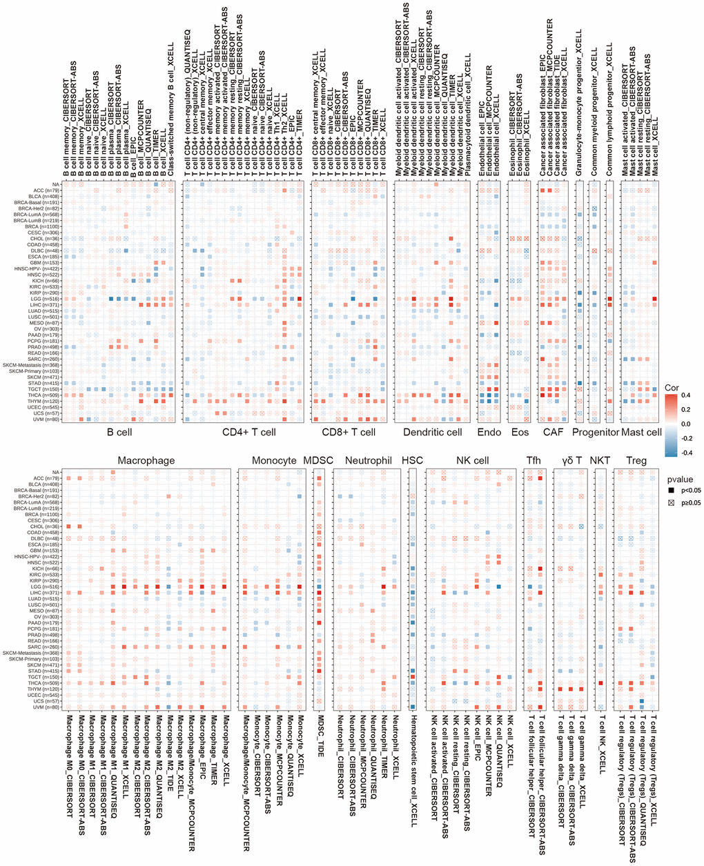 Correlation of SLC1A5 expression with immune infiltration levels of B cells, CD4+ T cells, CD8+ T cells, dendritic cells, Endo, Eos, CAF, progenitor, mast cells, HSC, macrophages, monocytes, Tfh, γδT, NKT, regulatory T cells (Tregs), neutrophils, NK cells, and MDSCs in cancers. Red and blue indicate positive and negative correlations, respectively.