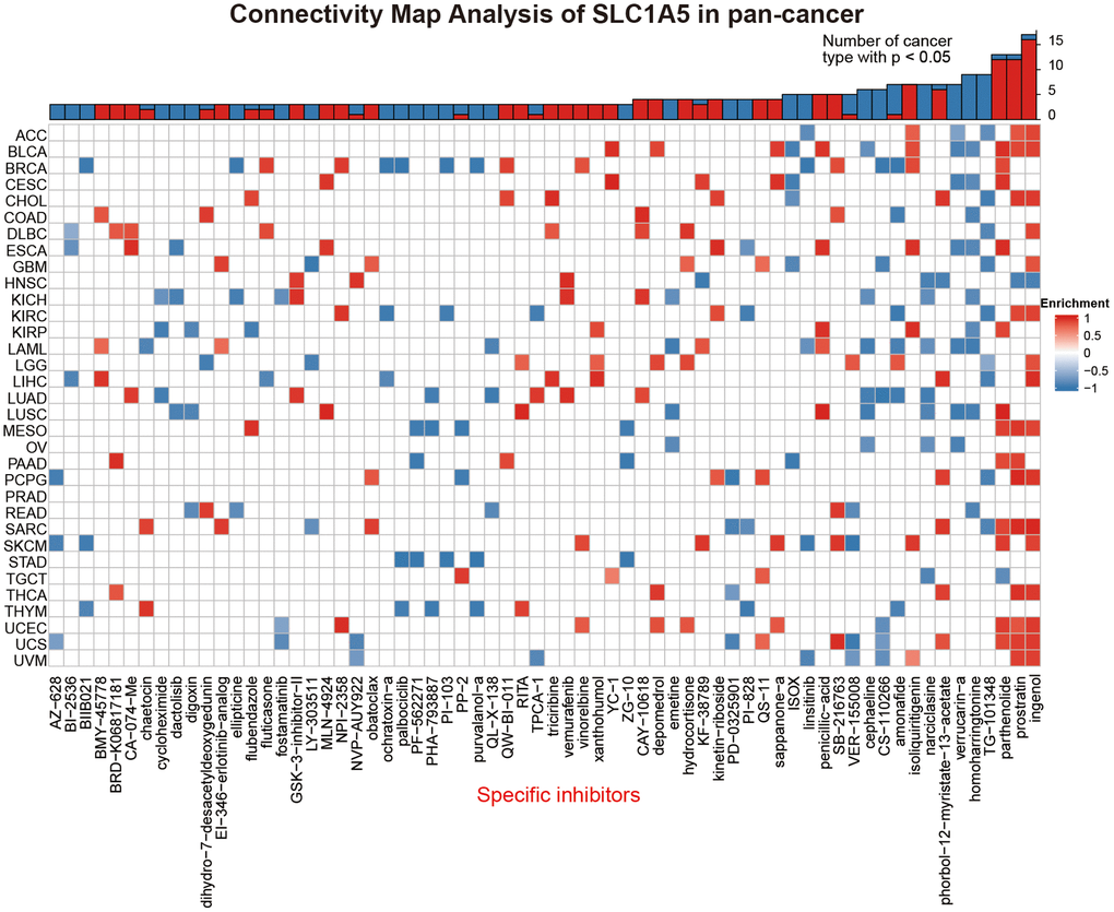 The heatmap represents the enrichment score (positive in blue, negative in red) for each drug in each cancer in the CMap database. Components or drugs are sorted from right to left with a decreasing number of enriched cancers.