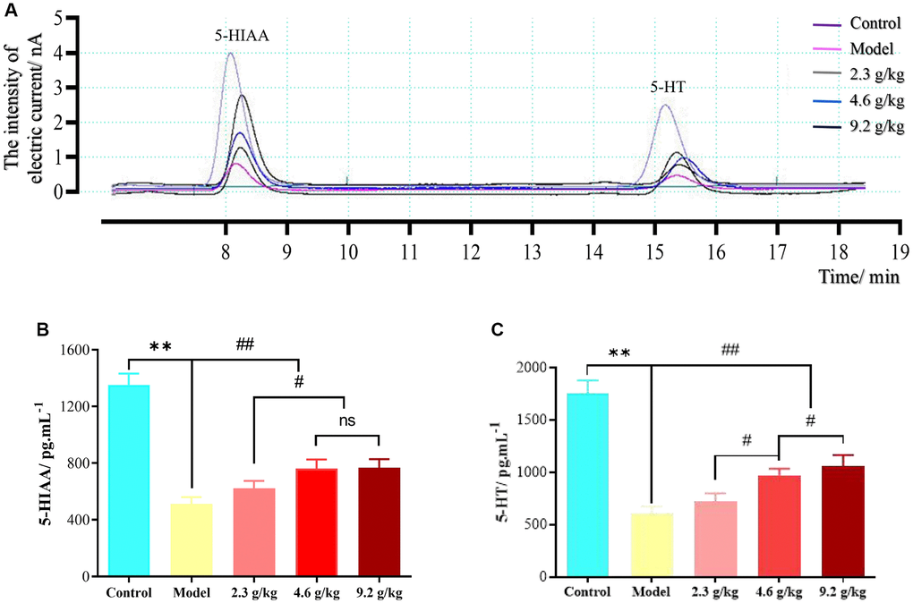 Cerebrospinal fluid microdialysis results for the hippocampal CA1 region in each group. (A) Chromatogram of neurotransmitters. (B) 5-HIAA levels in each group. (C) 5-HT levels in each group. The data are presented as means ± SD (n = 3). **P ##P #P 
