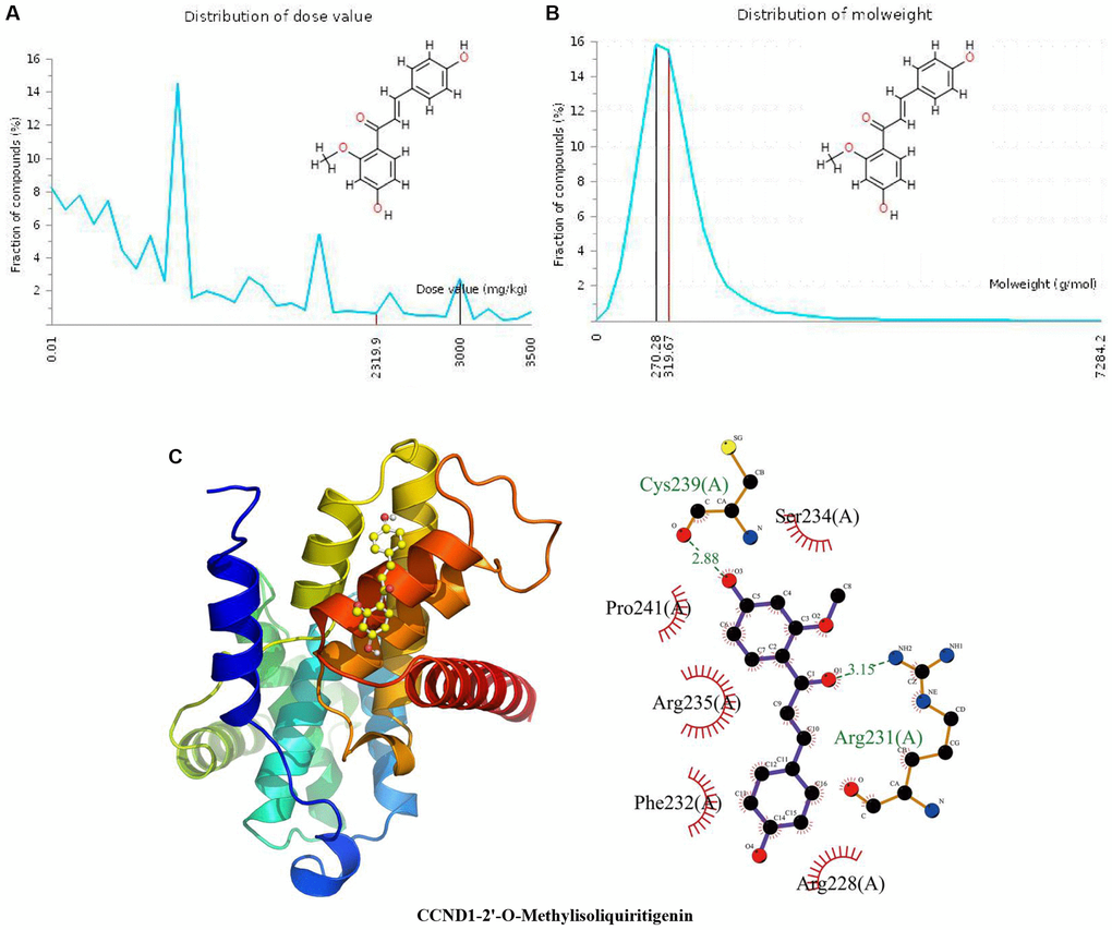 Distribution of the 2’-O-methylisoliquiritigenin dose value and molecular weight and docking with CCND1. (A) Distribution of the dose value of 2’-O-methylisoliquiritigenin. (B) Distribution of the molecular weight of 2’-O-methylisoliquiritigenin. (C) Molecular docking of 2’-O-methylisoliquiritigenin with the CCND1 protein.