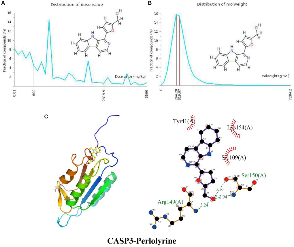 Distribution of the perlolyrine dose value and molecular weight and docking with CASP3. (A) Distribution of the dose value of Perlolyrine. (B) Distribution of the molecular weight of perlolyrine. (C) Molecular docking of perlolyrine with the CASP3 protein.