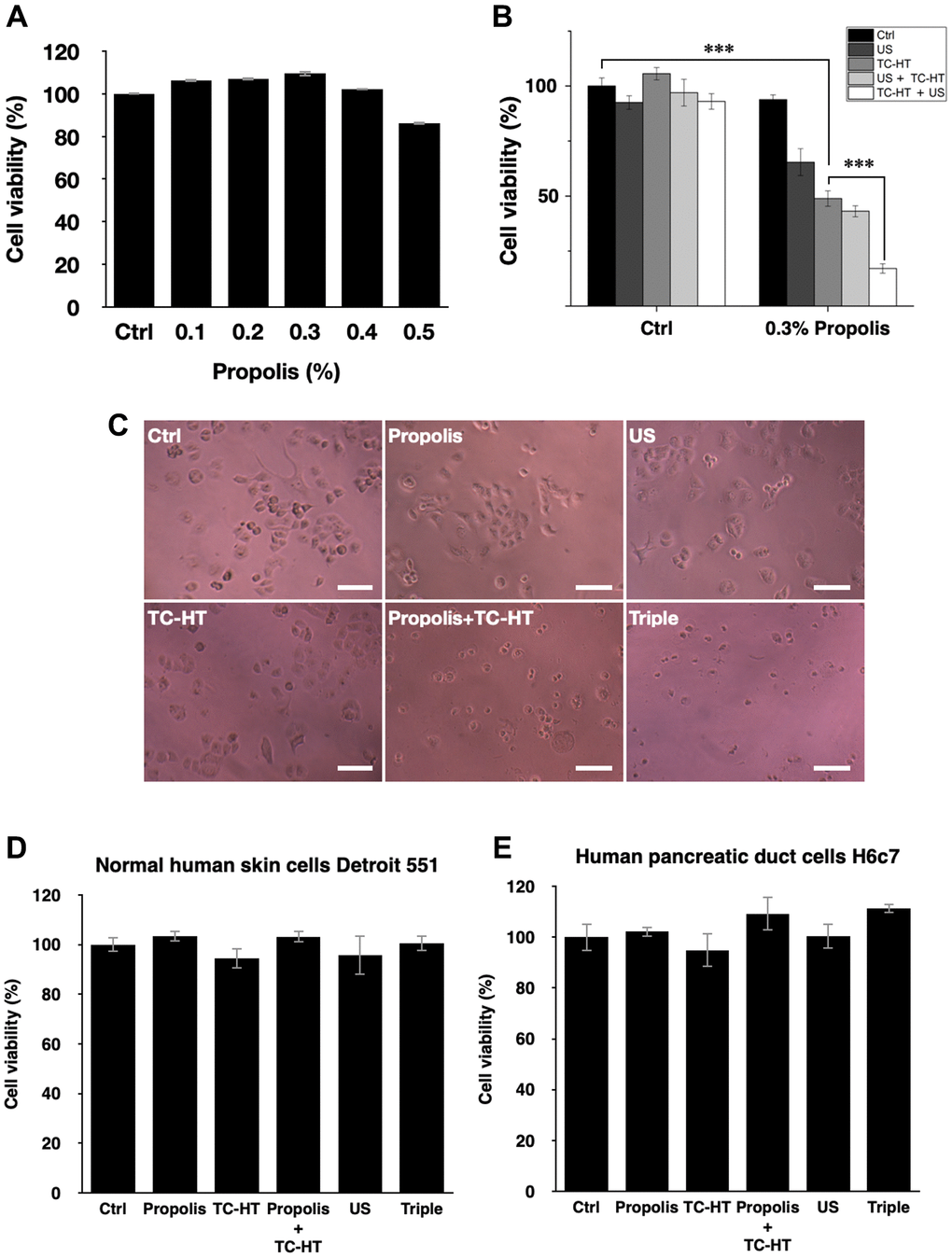 Viability inhibition effects of propolis on PANC-1, Detroit 551, and H6c7 cells. MTT assay was conducted to determine the viabilities of PANC-1 cells after the treatment of (A) different propolis concentrations and (B) different combinations of physical stimulations. (C) Representative light microscope images of PANC-1 cells after each treatment, scale bar = 100 μm. The viabilities of (D) normal human skin cells Detroit 551 and (E) normal human pancreatic duct cells H6c7 were measured 24 h after each treatment. Data were presented as the mean ± standard deviation in triplicate. ***P 