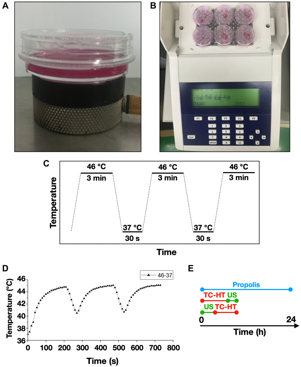 Experimental setups for the triple treatment. 35-mm culture dishes were placed on (A) a ceramic transducer and (B) a modified PCR machine for the exposures of US and TC-HT, respectively. (C) The schematic representation of the TC-HT temperature settings. (D) Cell temperature detected by a needle thermocouple when TC-HT was implemented. (E) Experimental schedule of the triple treatment with different exposing order of US and TC-HT.